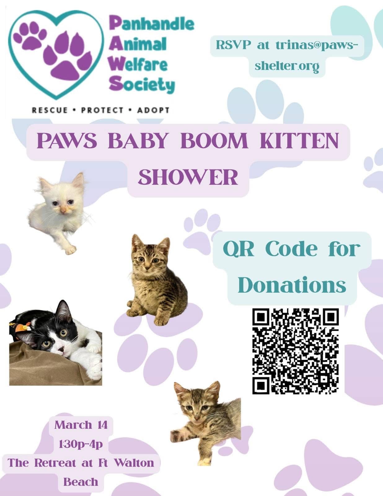 Kitten Shower For PAWS